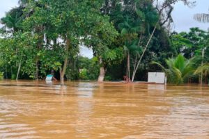 Alerta hidrológica por intensas lluvias en Bolivia