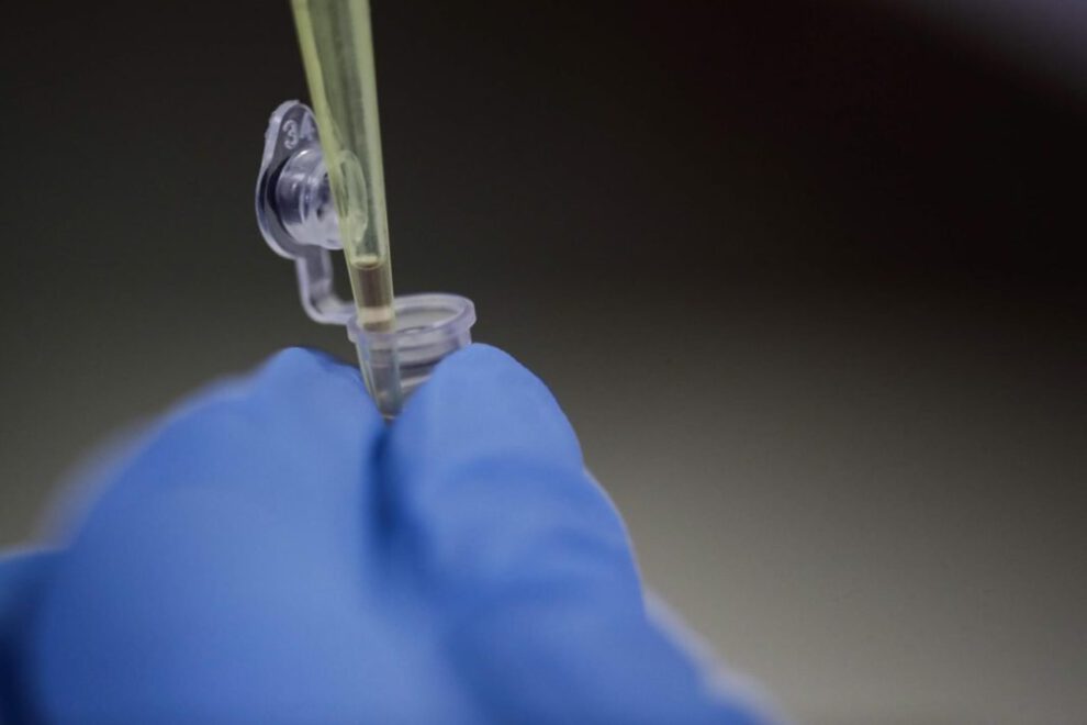 Nuevo anticuerpo SARS-CoV-2 bloquea variantes incluyendo ómicron