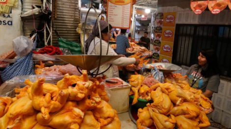 Precios del pollo en descenso a nivel nacional