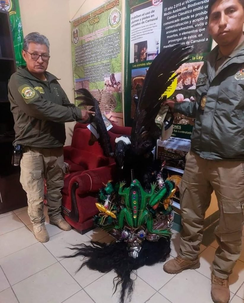 Decomisos de animales en Carnaval de Oruro
