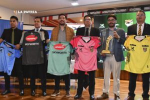 Ranking de árbitros en la División Profesional