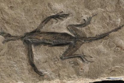 Tridentinosaurus antiquus, fósil antiguo de los Alpes
