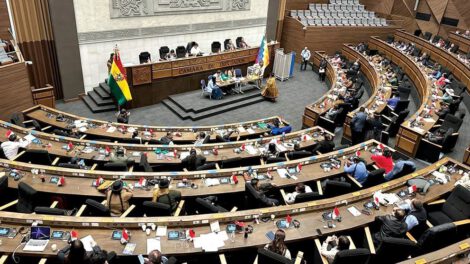 Cámara Baja de Bolivia con 36 senadores y 130 diputados