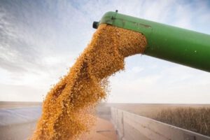 Seguridad alimentaria y oportunidades de cooperación entre América Latina y Europa