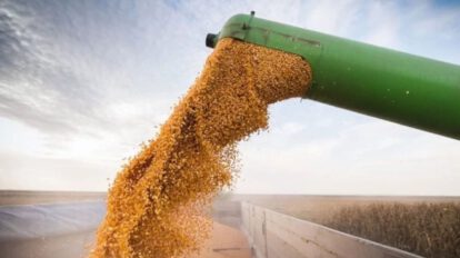 Seguridad alimentaria y oportunidades de cooperación entre América Latina y Europa