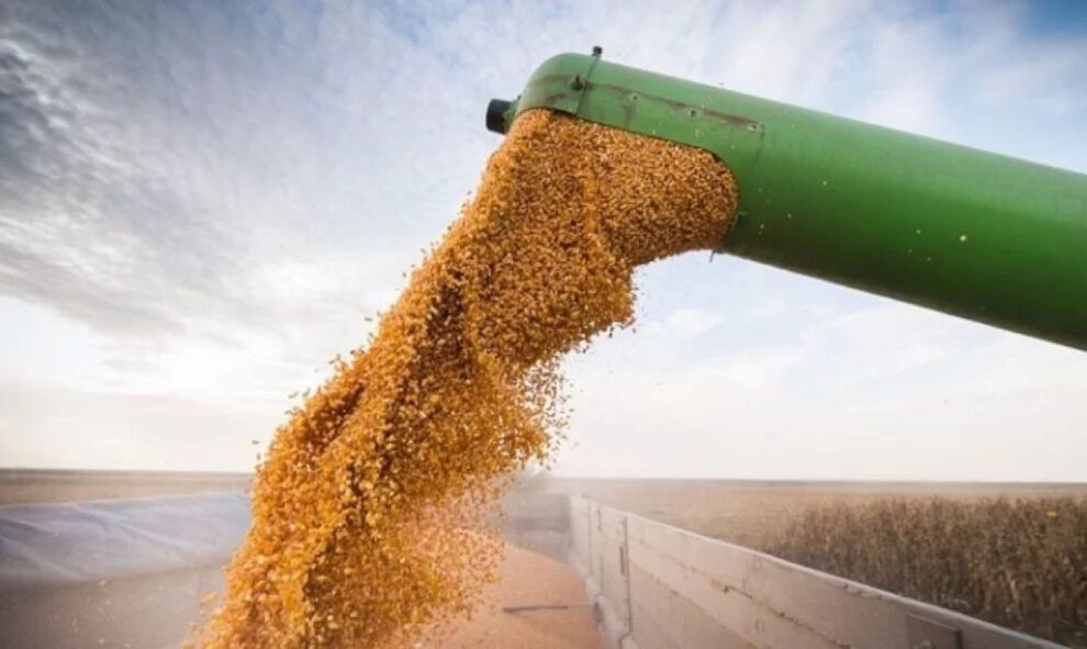 Seguridad alimentaria y oportunidades de cooperación entre América Latina y Europa
