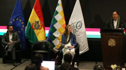 Hoja de coca y sus propiedades medicinales en la lucha antidrogas
