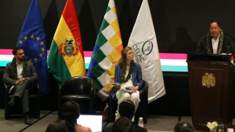 Hoja de coca y sus propiedades medicinales en la lucha antidrogas