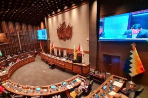 Voto electrónico en el Senado