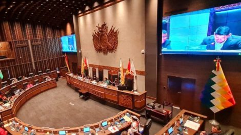 Voto electrónico en el Senado