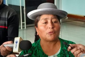 Gloria Callizaya, diputada del Movimiento Al Socialismo (MAS)