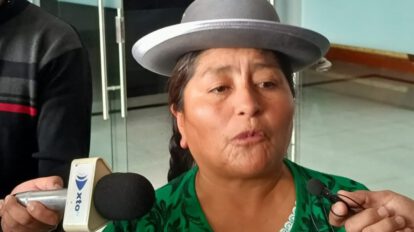 Gloria Callizaya, diputada del Movimiento Al Socialismo (MAS)