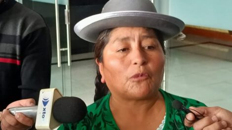 Gloria Callizaya, diputada del Movimiento Al Socialismo (MAS)