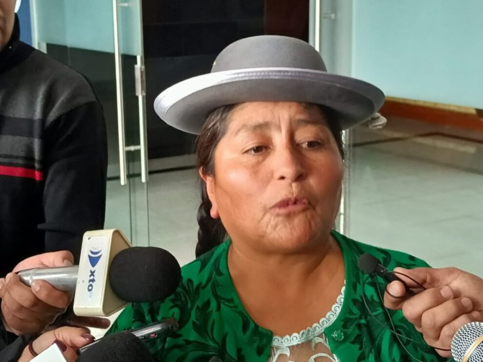 Gloria Callizaya, diputada del Movimiento Al Socialismo (MAS)