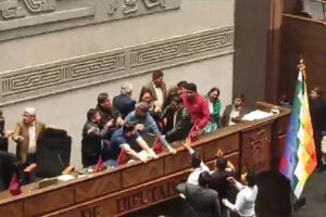 Agresiones en la Cámara de Diputados