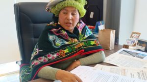 Verónica Challco, presidenta en funciones de la Cámara de Diputados, remite proyecto de ley al Senado