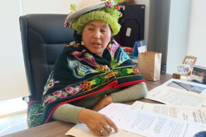 Verónica Challco, presidenta en funciones de la Cámara de Diputados, remite proyecto de ley al Senado