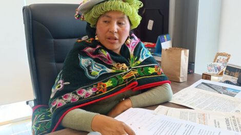 Verónica Challco, presidenta en funciones de la Cámara de Diputados, remite proyecto de ley al Senado