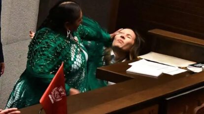 Denuncia penal por agresión en la Cámara de Diputados