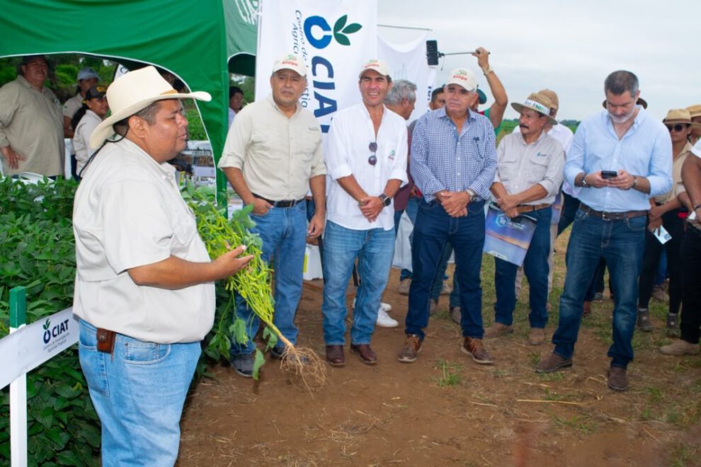 Exención de IVA para importaciones agrícolas en Bolivia