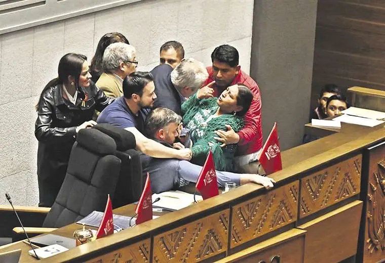 Créditos internacionales en la Cámara de Diputados