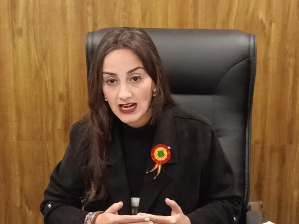 Crédito aprobado por la CAF en controversia según Luisa Nayar