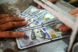 Confían en alcanzar meta de 100 millones de dólares con bonos del BCB