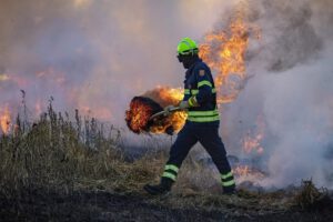 Emergencia climática en Sudamérica: Datos preocupantes sobre emisiones causadas por incendios