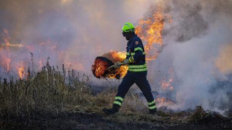 Emergencia climática en Sudamérica: Datos preocupantes sobre emisiones causadas por incendios