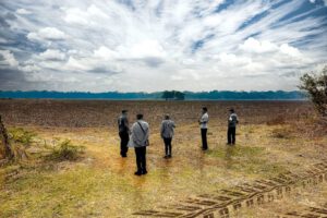 Desigualdades agrarias en el campo