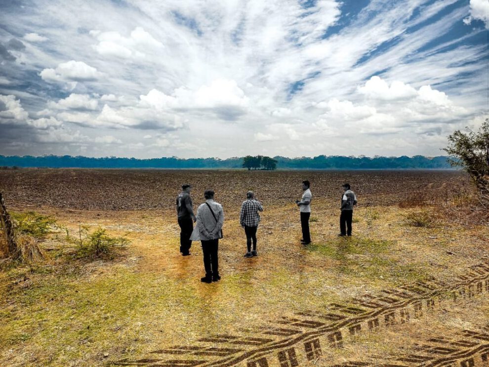 Desigualdades agrarias en el campo