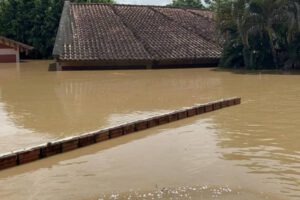 Inundación en Cobija: Río Acre desciende tras alcanzar récord de 17 metros