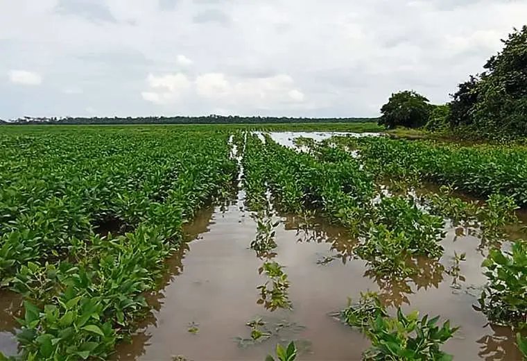 Impacto de lluvias en San Pedro
