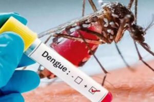 Dengue en Brasil: Emergencia nacional por más de 1 millón de infectados