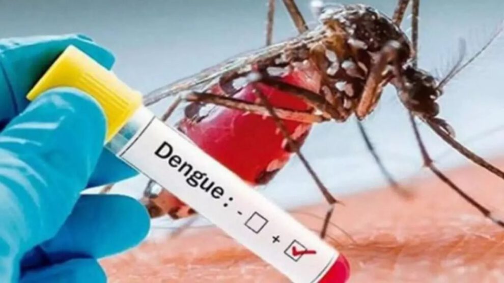 Dengue en Brasil: Emergencia nacional por más de 1 millón de infectados