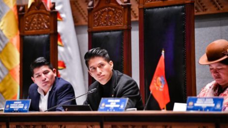 Proyectos antipróroga solicitados por Andrónico Rodríguez en la Asamblea Legislativa Plurinacional