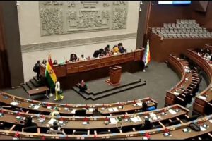 Proyectos de ley antiprórroga en debate por legisladores del MAS