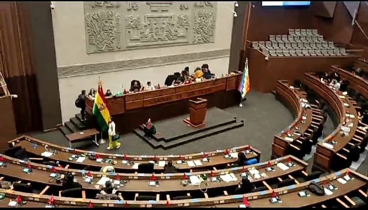 Proyectos de ley antiprórroga en debate por legisladores del MAS