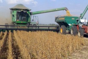 Crecimiento agropecuario es clave para la economía