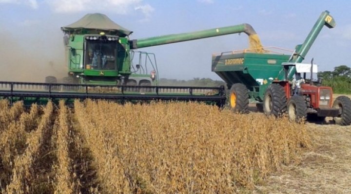 Crecimiento agropecuario es clave para la economía