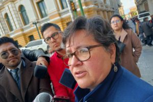 Reforma a Ley de Pensiones por la ministra de Trabajo, Verónica Navia
