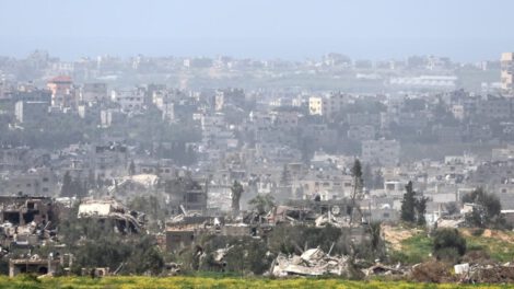 Impacto ecológico de la guerra en Gaza