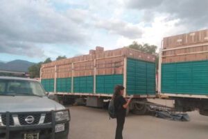 Cigarrillos de contrabando decomisados en Sacaba