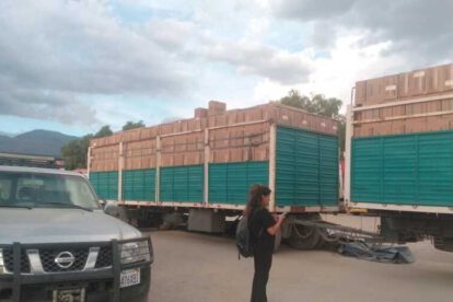 Cigarrillos de contrabando decomisados en Sacaba