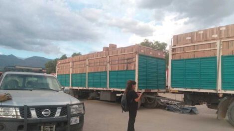 Cigarrillos de contrabando decomisados en Sacaba