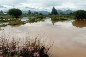 Crisis climática en Bolivia: 85.041 hectáreas de cultivos afectadas