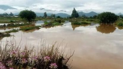 Crisis climática en Bolivia: 85.041 hectáreas de cultivos afectadas