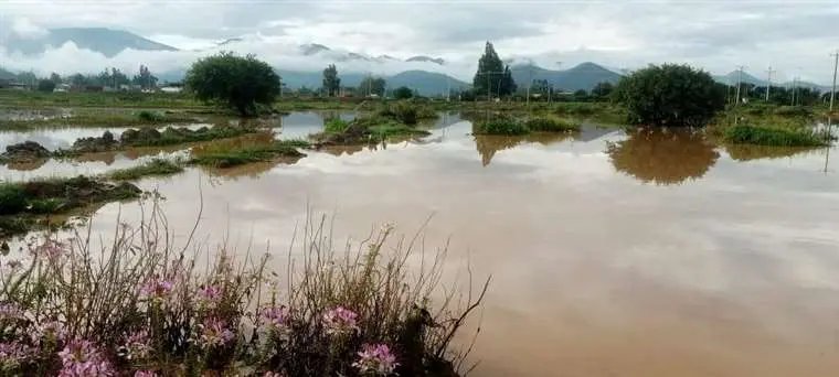 Crisis climática en Bolivia: 85.041 hectáreas de cultivos afectadas