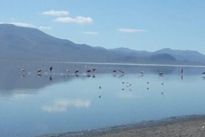 Incertidumbre sobre siembra de alevines en el lago Uru Uru
