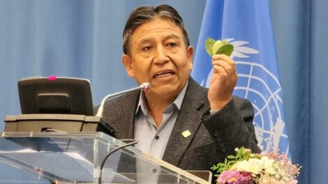 Despenalización de la hoja de coca defendida por Choquehuanca en la ONU